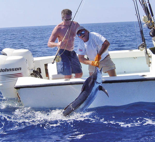 Marlin gefangen mit der Fliegenrute